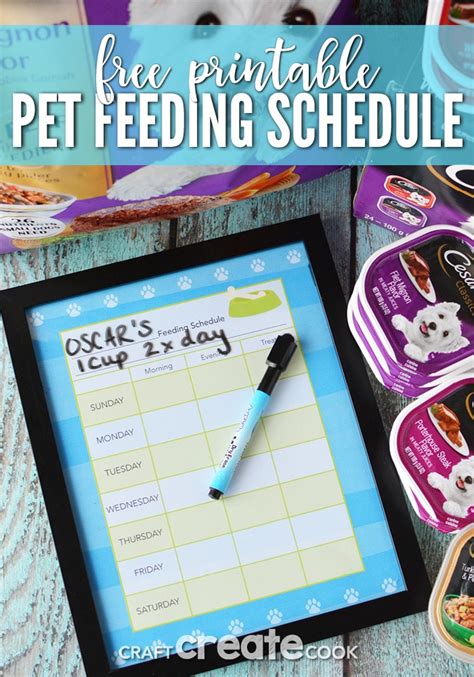 DIY Pet Feeding Schedule Printable - Craft Create Cook