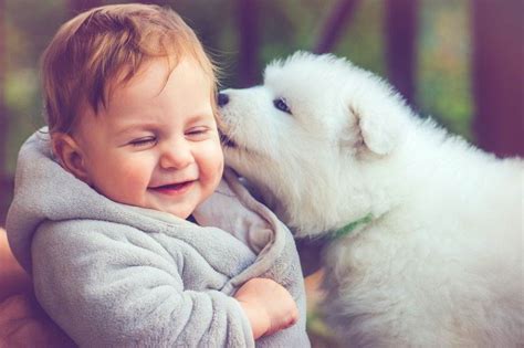 Cute Moments Of Puppies And Babies That Will Melt Your Heart - ShrewdMommy