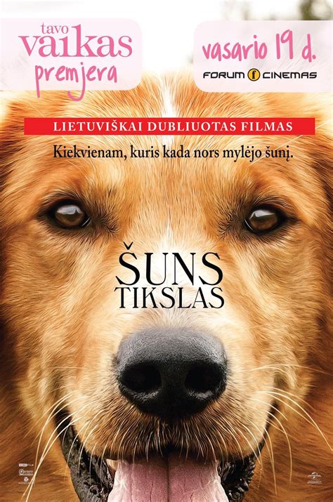 Šuns tikslas 1 dalis(A Dog’s porpose) - Drakio Kampelis