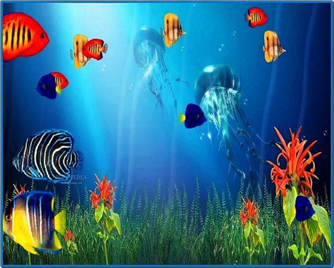 Marine life aquarium 3d screensaver - Download free