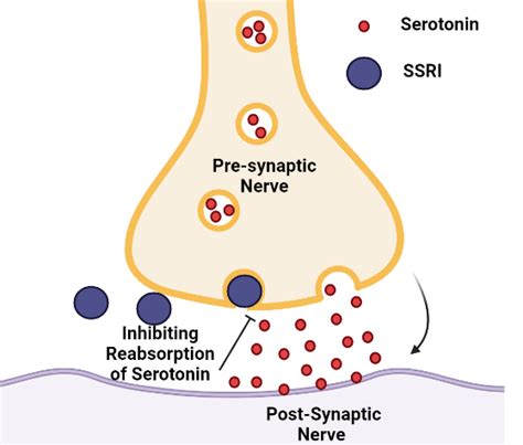 The Biochemical Basis of Depression | Bio-Rad