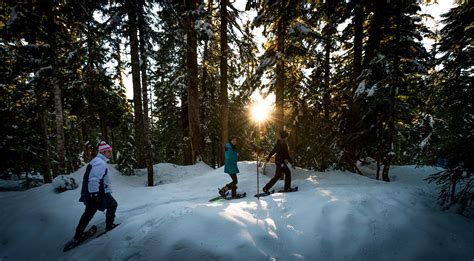 Cypress Mountain Snowshoeing