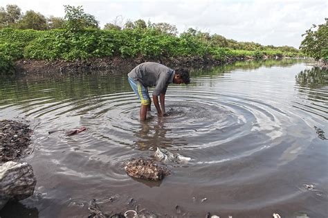 The story of Mumbai's abused, polluted Mithi river is anything but sweet