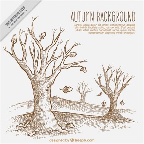 Free Vector | Drawing an autumn landscape