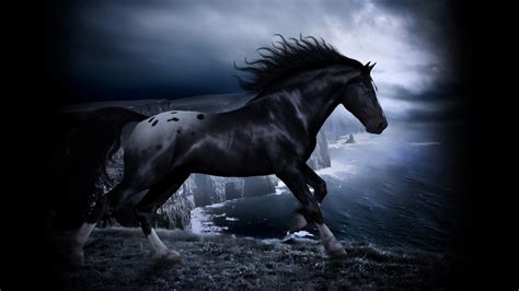 Horse Pictures For Desktop Background - WallpaperSafari