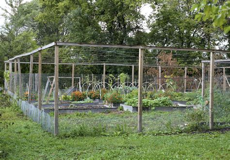 How We Planned Out Our Five-Acre Homestead - Green Willow Homestead