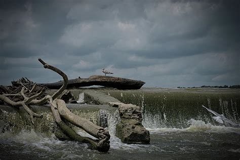 The Great Maumee River Photograph by Tim Husted - Fine Art America