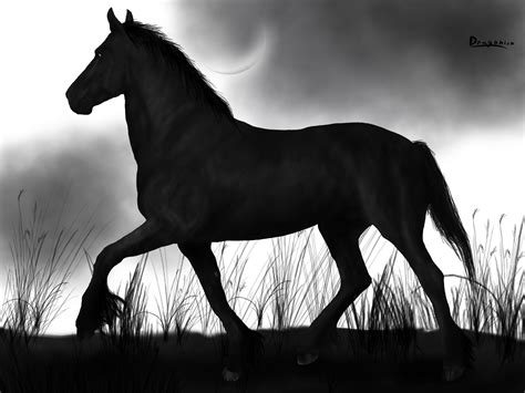 Tornado-Zorro's horse by 1Dragonisa1 on DeviantArt | Horses, Zorro, Animals