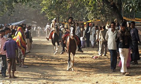 Sonepur Mela | Sonepur Mela Tour Attractions | Cattle Fair