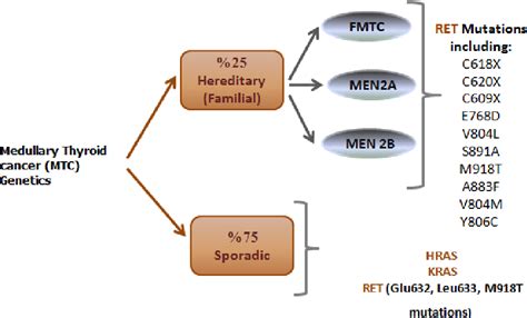 Figure 3 from Genetic and Epigenetic of Medullary Thyroid Cancer | Semantic Scholar