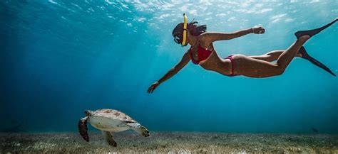 Cancun Snorkeling Tour from Playa Mujeres | Cancun Snorkeling