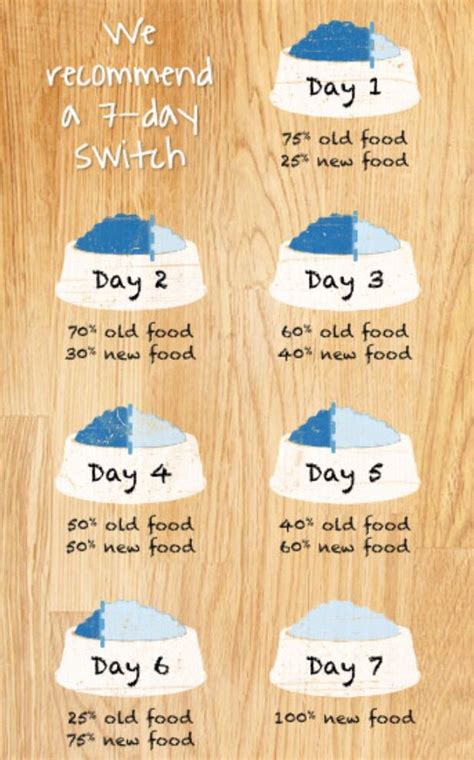 When switching dog foods, it's important to do it gradually | Dog food recipes, Healthy dog food ...