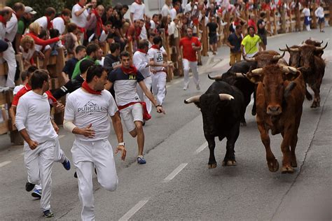 EL CAHOSO CIERRA LOS ENCIERROS DE PERALTA CON UNA CARRERA RÁPIDA | Toros en Navarra