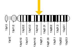 Living with Wilson's Disease - Home