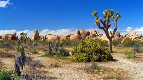 Desert and Sun Wallpapers - Top Free Desert and Sun Backgrounds - WallpaperAccess