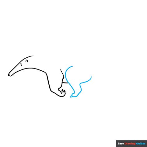 How to Draw an Anteater - Really Easy Drawing Tutorial