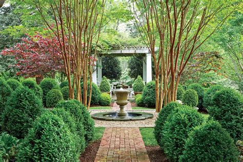 How To Grow And Care For Boxwoods