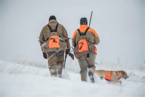 Pheasant Hunting Tips for the Late Season | Outdoor Life