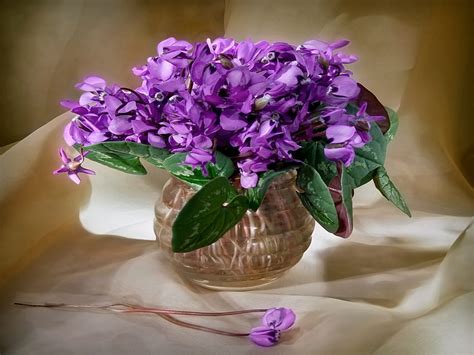 Beautiful Flowers, table, white, graphy, vase, beautiful, beauty, nice, still life, glass vase ...