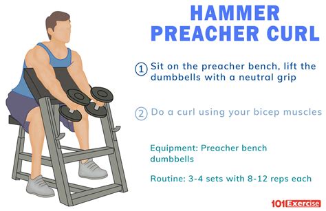 Hammer Preacher Curl | 101Exercise.com