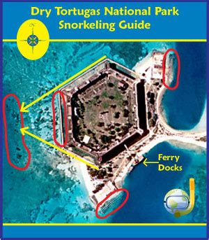 Snorkeling Dry Tortugas National Park - The Best Near Key West