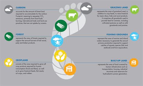 About Ecological Footprint and Biocapacity | Ecological Footprint Initiative