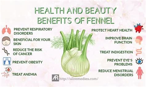 28 Health And Beauty Benefits Of Fennel