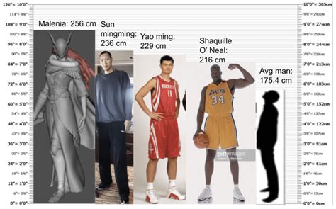 Height Comparison Between Malenia and NBA Players : u/Few_Combination_4644