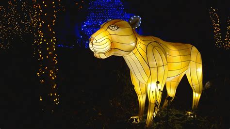 Cincinnati Zoo's Festival of Lights features 3 million LED lights | WKRC