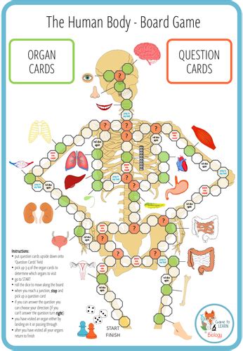 Human Body - Board Game (KS3/4) | Teaching Resources