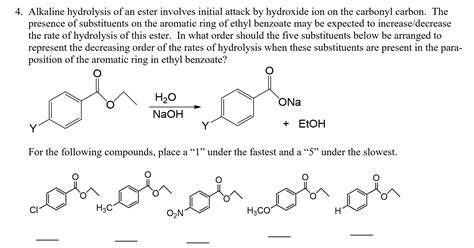 Ester Hydrolysis Mechanism