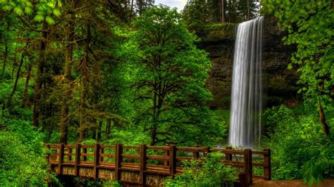 Waterfall in green forest wallpaper | nature and landscape | Wallpaper ...