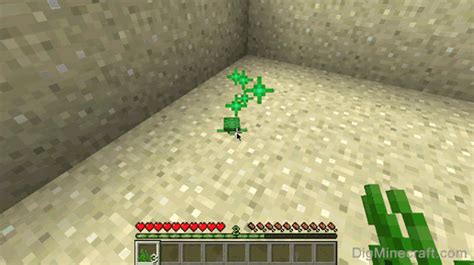 How to make a Turtle Scute in Minecraft