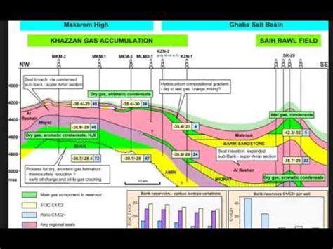 petroleum system - YouTube