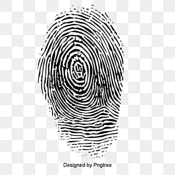 Fingerprint PNG, Vector, PSD, and Clipart With Transparent Background ...