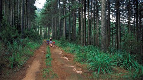 Besøk Tzaneen: opplev det beste av Tzaneen, Limpopo i 2023 | Reis med ...