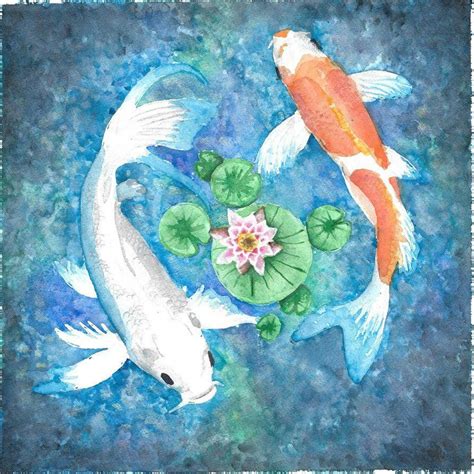 Koi Fish Information | Koi art, Pond drawing, Koi watercolor