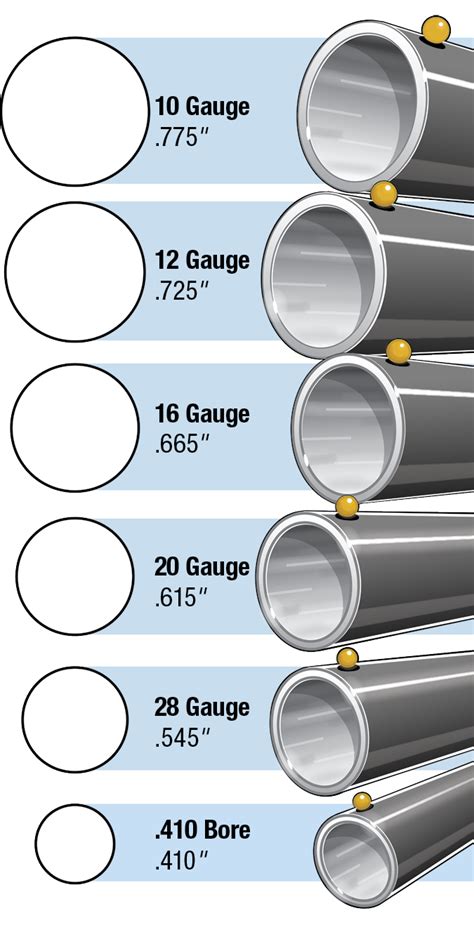 Shotgun Bore Size Chart | Hot Sex Picture