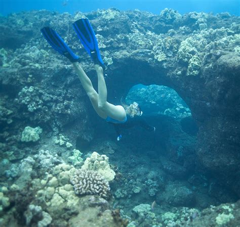 Tunnels Beach - Hawaii Lodging & Tourism Association