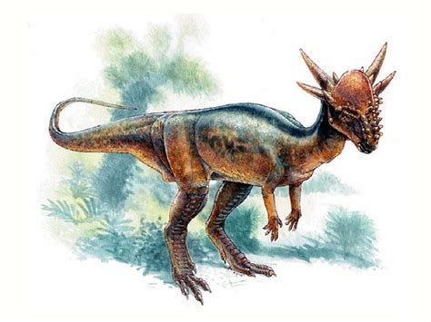 Stygimoloch Pictures & Facts - The Dinosaur Database