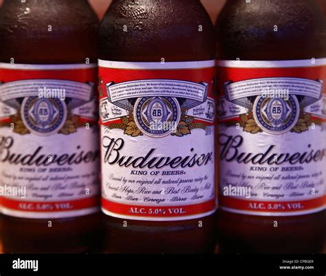 Budweiser beer bottles Stock Photo - Alamy