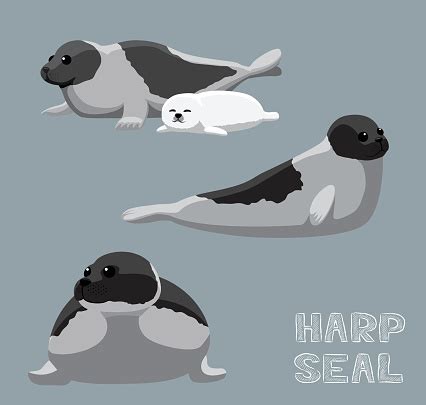 Harp Seal Cartoon Vector Illustration Stock Vector | Royalty-Free | FreeImages