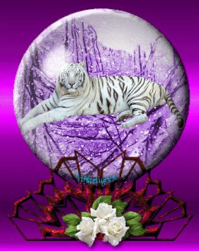 Tiger Snowglobe | Pet tiger, Big cats art, Tiger artwork