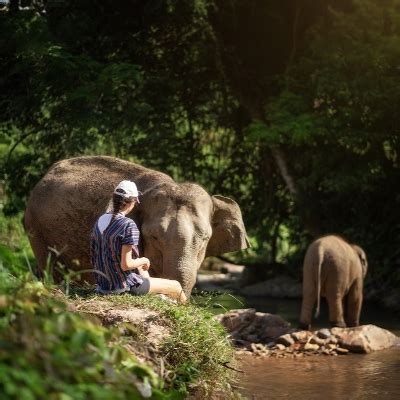 PHUKET Things To Do in Phuket, Thailand