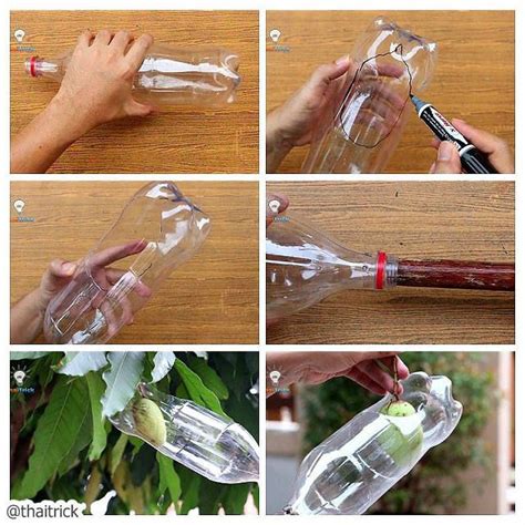 DIY Simple Fruit Picker out of waste plastic bottle - DIY fruit plucking tool from waste bottle ...