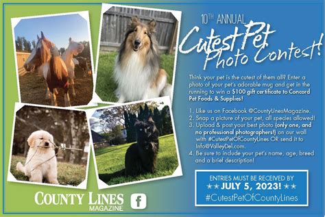 Cutest Pet Photo Contest 2023: Rules - County Lines Online