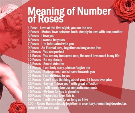 Roses Aren’t Just Red – Roses Meaning by Colour & Number – Discover Online | Rose color meanings ...