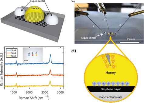 (a) Illustration of a graphene field-effect transistor with... | Download Scientific Diagram