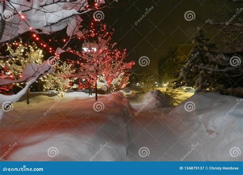 Avon, Colorado Ski Town: Christmas Lights Fairyland Editorial Photography - Image of creek, time ...