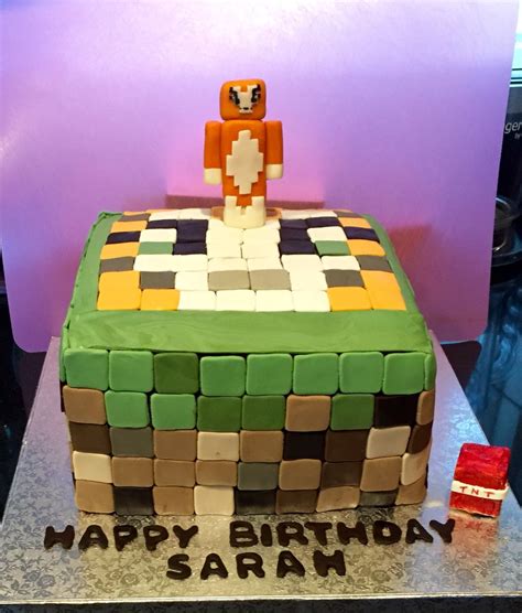 Minecraft cake stampy longnose cat | Stampy cat, Minecraft birthday, Cat cake